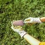Fertilizzante per prati: racconti di un "sussurratore di erba" fertilizzante-per-prati-4P